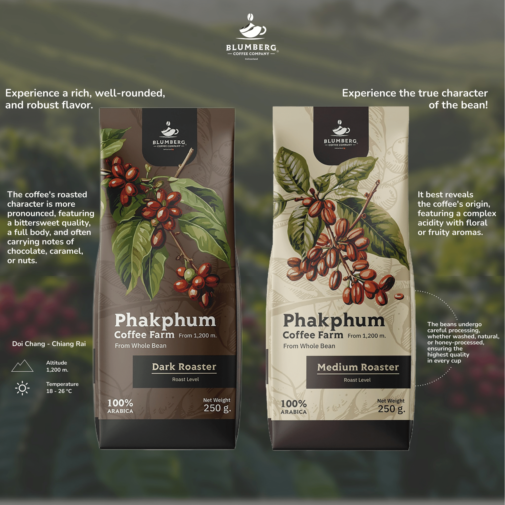 Phakphum Coffee Farm