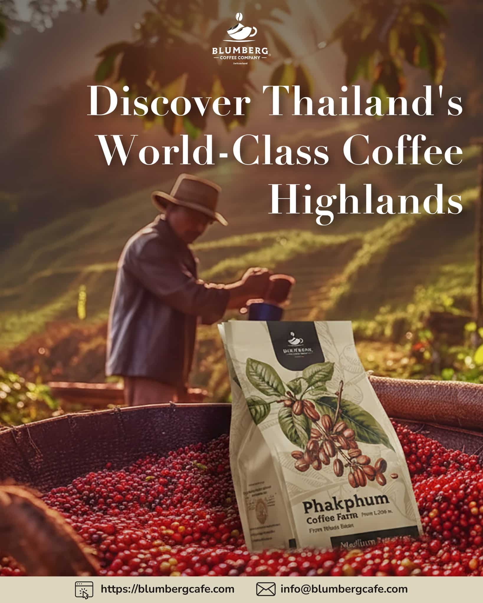 Thailand Coffee Highland