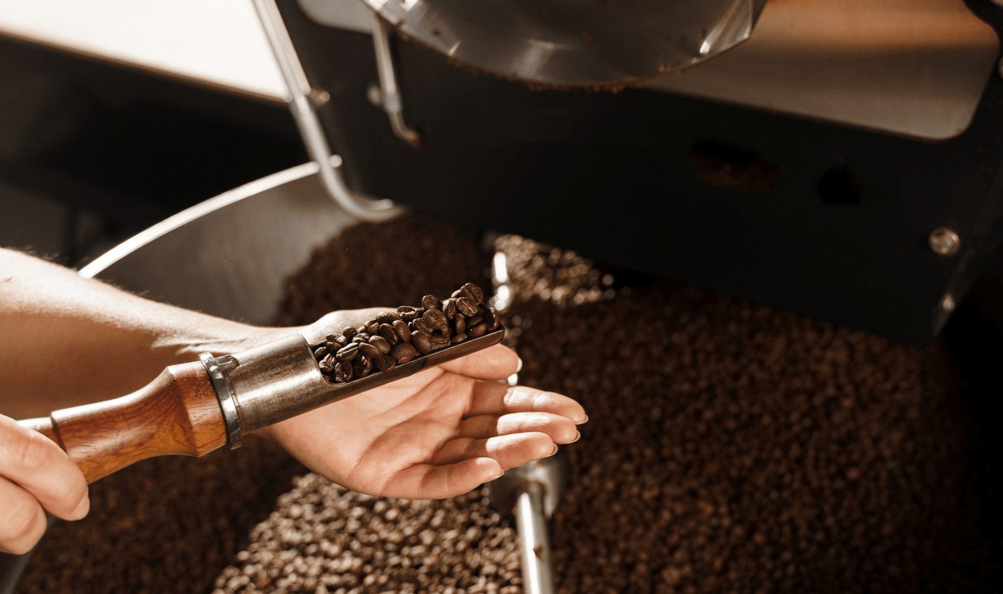 Coffee Roaster